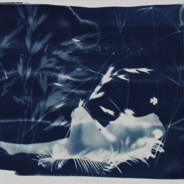 41b48-image0