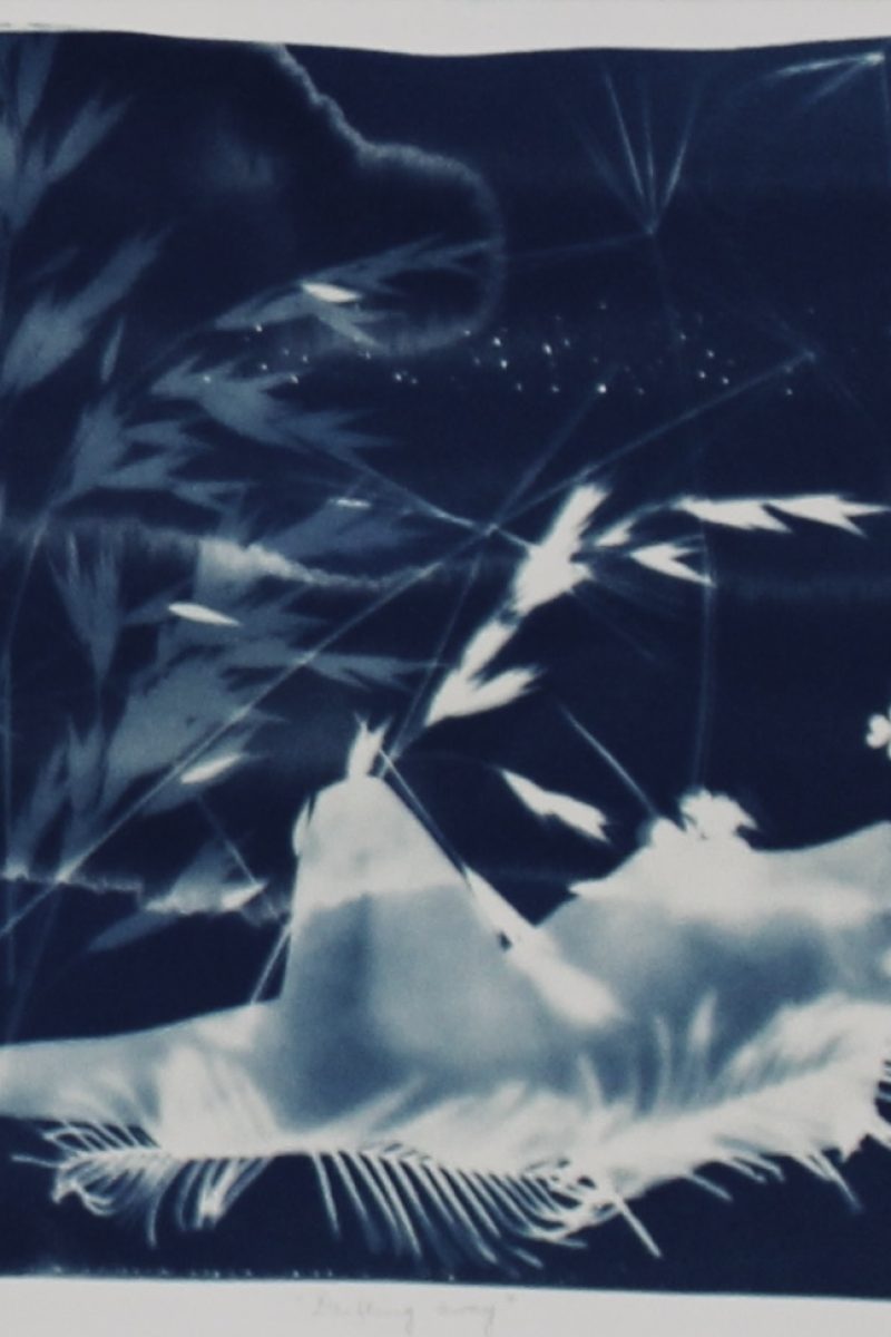41b48-image0