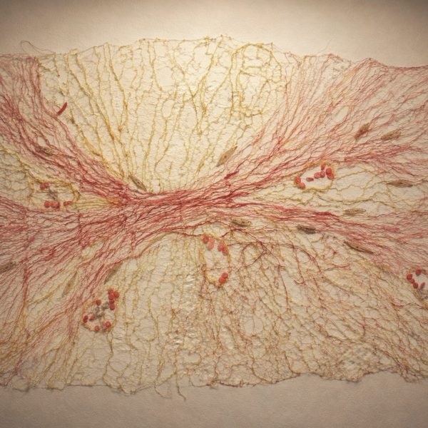 92bbbc21de154902648c0476f200ecb548a87ea6ff4cd0d8d3972d1ecc3f4645