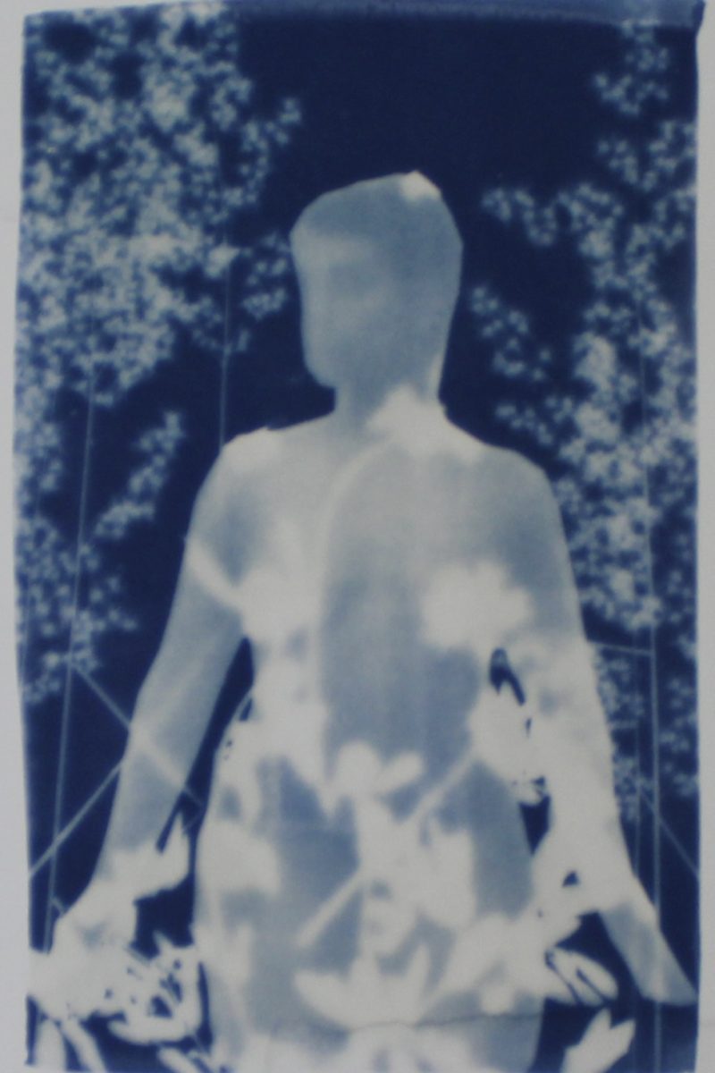 image11.jpeg