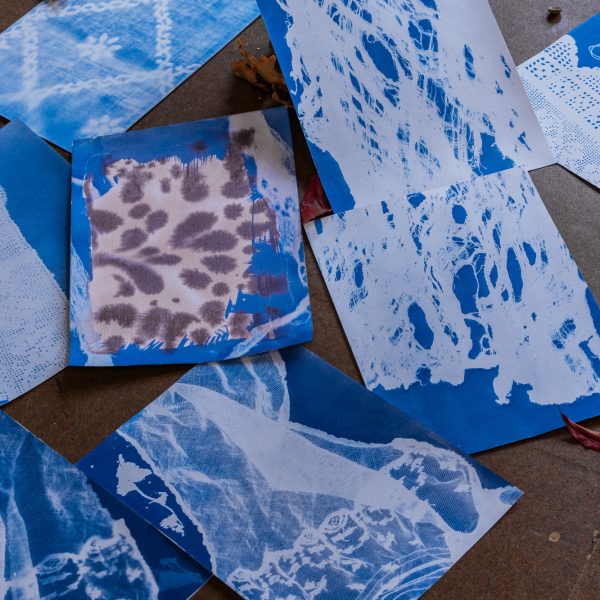 weltkunstzimmer_residency_presentation_shilpa_pia_koop-09