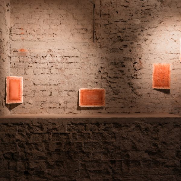 weltkunstzimmer_residency_presentation_shilpa_pia_koop-18